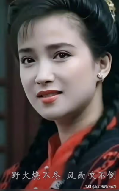 中國的純天然美女圖鑑