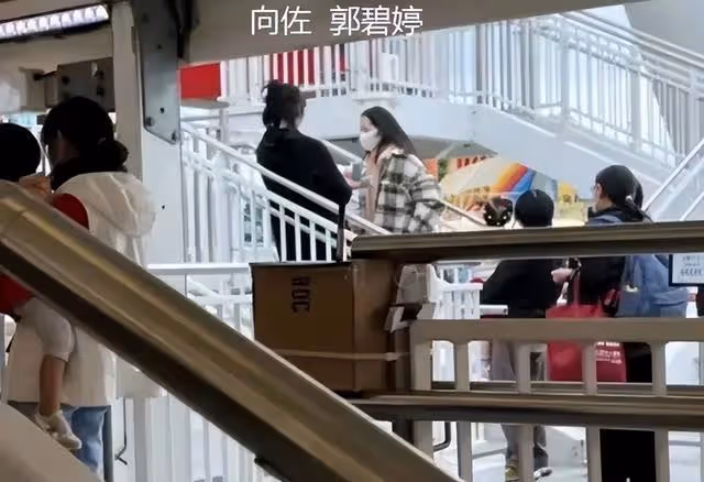 向佐郭碧婷再次合體破離婚傳聞,夫妻恩愛和諧,向太功不可沒