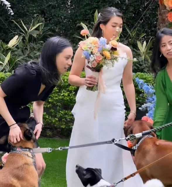 恭喜!香港知名女首富孫兒宣布結婚,妻子腹部凸起疑似懷孕