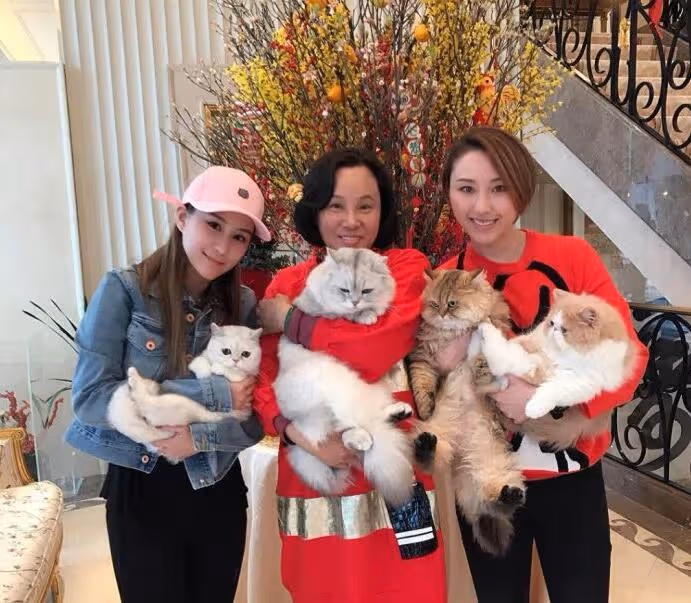 網曝竇驍何超蓮女兒出生，何超蓮曬「一家三口」同框合照疑回應