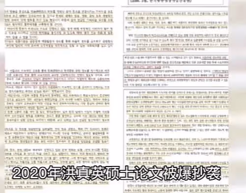 她曾被譽為「微胖女神、商演女王」,卻因學歷造假跌落神壇
