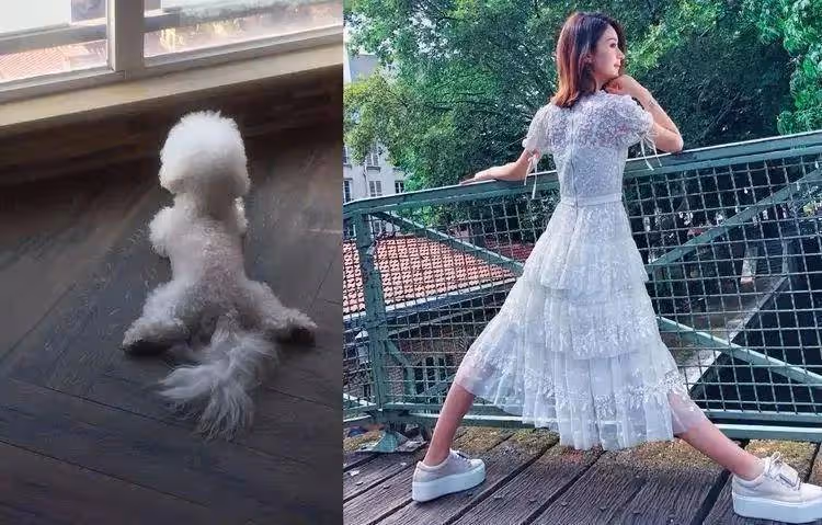 熱巴穿著大腹便便突然返璞歸真,網友:能看到肚子了