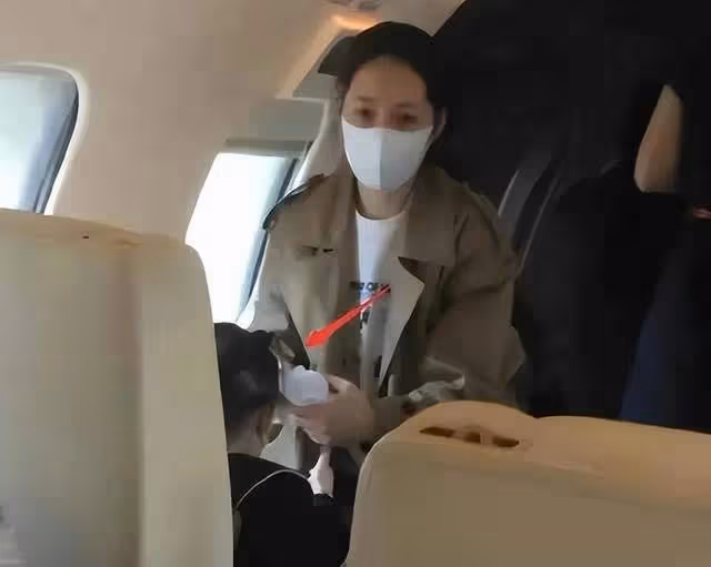 力破離婚傳聞向佐脫胎換骨,對郭碧婷鞍前馬後幫忙抱娃親密十足