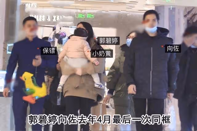力破離婚傳聞向佐脫胎換骨,對郭碧婷鞍前馬後幫忙抱娃親密十足