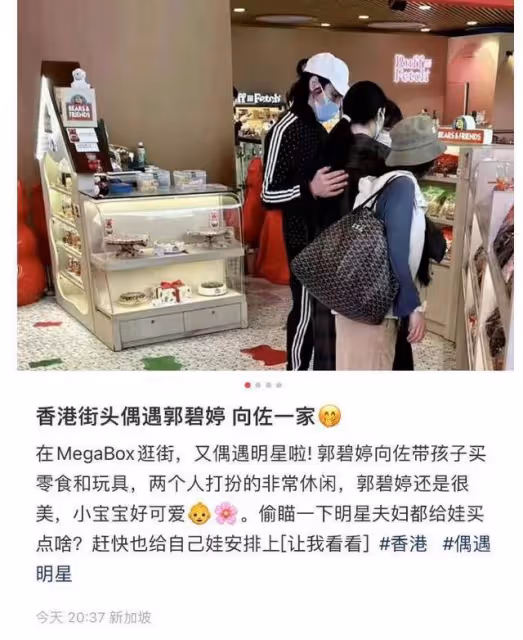 力破離婚傳聞向佐脫胎換骨,對郭碧婷鞍前馬後幫忙抱娃親密十足