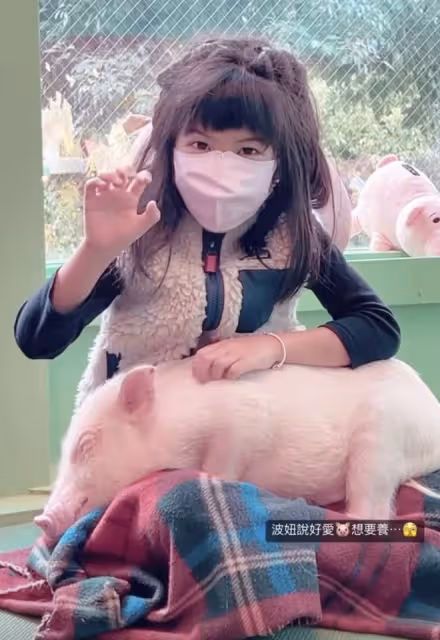 賈靜雯帶娃出遊,不忘攜70歲母親同行很孝順,波妞人小膽大想養豬