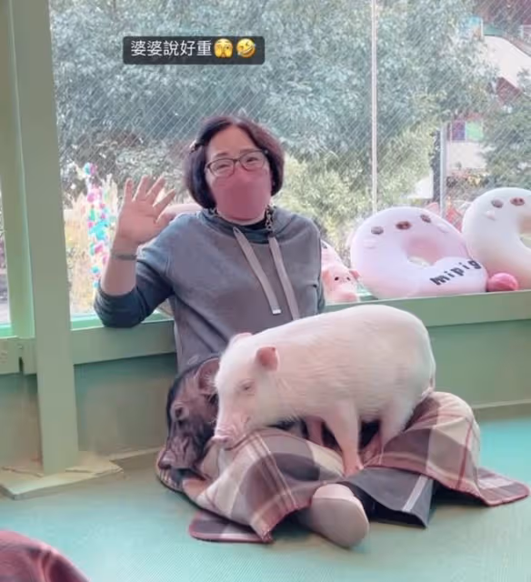 賈靜雯帶娃出遊,不忘攜70歲母親同行很孝順,波妞人小膽大想養豬