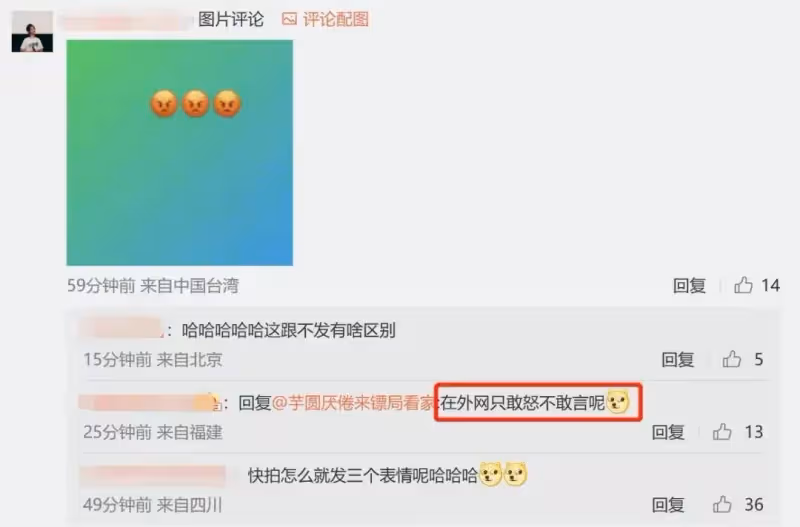 林心如翻車：在外網敢怒不敢言，只敢對大陸網友開炮，典型的雙標