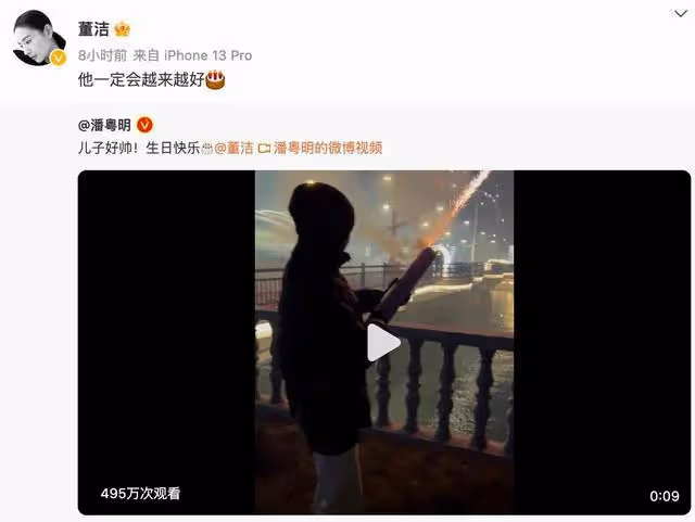 離婚十年,董潔終於肯讓潘粵明見兒子啦,背後的原因不簡單