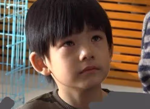 潘粵明董潔,能復婚嗎?4點原因證明,前任夫妻之間也有利益牽絆