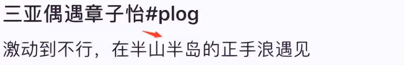 汪峰次女汪璟怡罕露面,貼心挑首飾為章子怡慶生,長相遺傳康作如