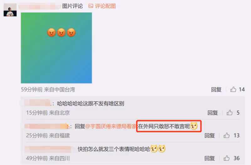 林心如又翻車了!台灣網友曝光女兒正面照,卻發文指責內地網友