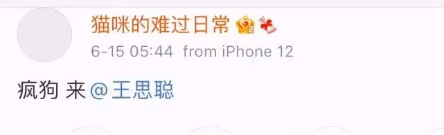 曝王思聰同時交往兩任女友!緊摟小15歲新歡,另一位網紅爭風吃醋