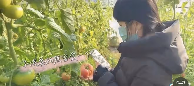 左小青農村過節!素顏躺炕上嗑瓜子接地氣,女兒顏值矚目長腿吸睛