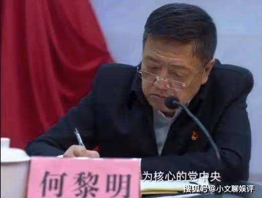 《狂飆》臨江省政法委常務副書記何黎明,他的級別到底有多高?