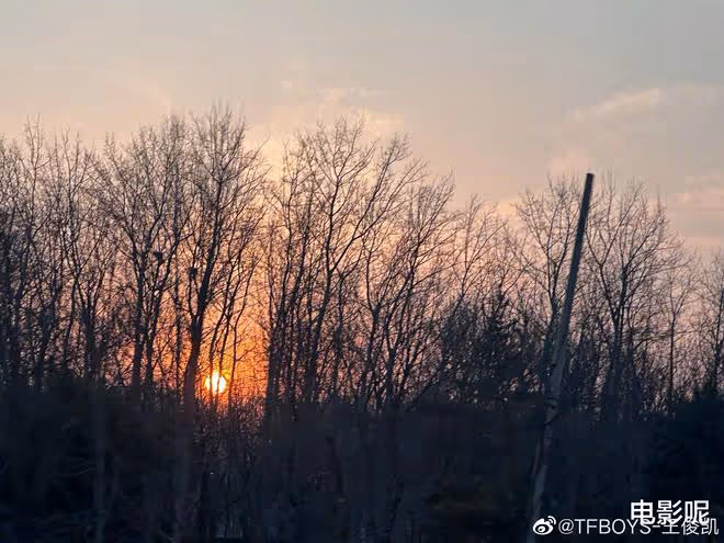 王俊凱罕見分享日常,曬夕陽下班路,還貼心給每一個車牌打碼!