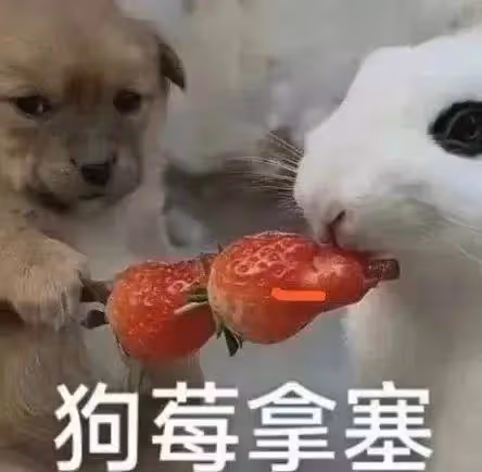 TFBOYS解散?楊洋熱巴實錘?李勝利出獄?葛斯齊起訴張蘭?