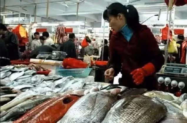 9歲姐姐早當家!帶弟弟「菜市撿菜葉」給爸慶生 魚販好心送兩條魚卻「吃出10萬存單」救了媽媽~