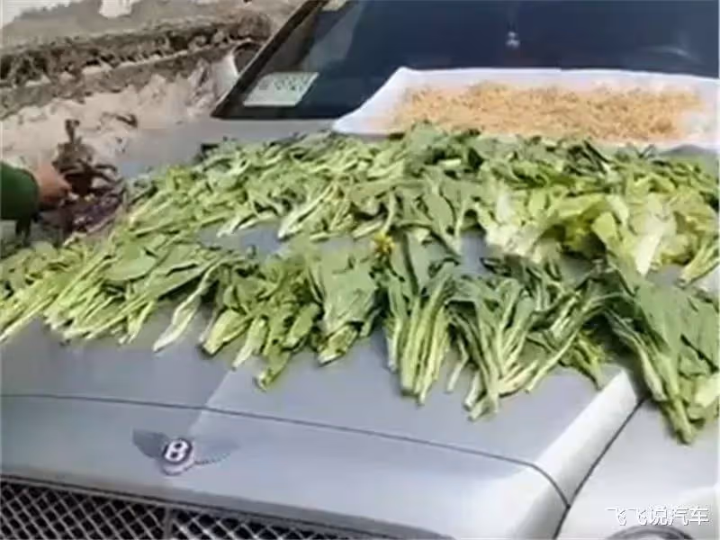 9歲姐姐早當家!帶弟弟「菜市撿菜葉」給爸慶生 魚販好心送兩條魚卻「吃出10萬存單」救了媽媽~