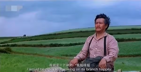 趙本山女兒：低調結婚，為了父親輿論不會舉辦婚禮，更不想折騰他
