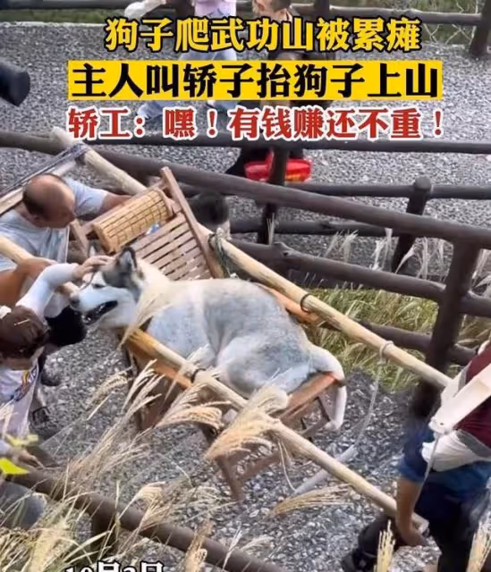 2位7旬阿嬤「扛遊客上山」掀論戰,眾嘆「誰捨得坐上去」他卻說:不稀奇,隨處可見!