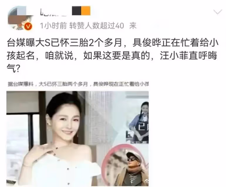 曝大S懷孕兩個月,小S春節巴黎游狂刷汪小菲的卡,不看價格裝大方