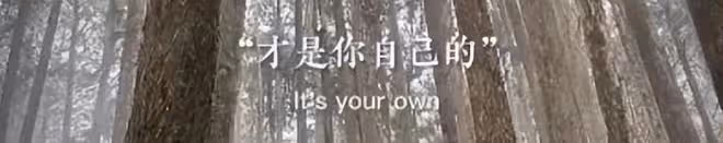 洗米嫂發文稱自己有錢有房不是幸福，無病無災才是真