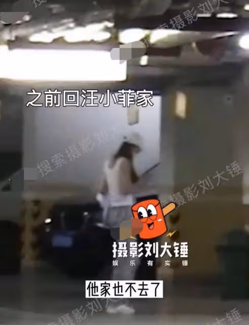 張穎穎汪小菲被疑真分手!女方結束同居生活,深夜獨自嗨玩疑點多