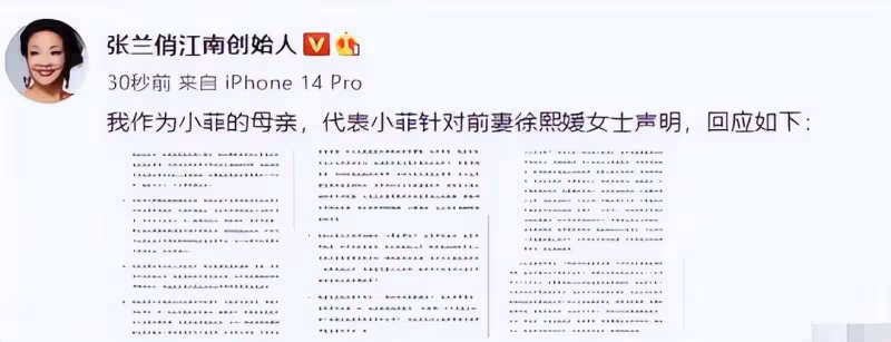 氣吐血!大S根本沒有撤銷申請,汪小菲還是補交光頭電費162萬,張蘭被耍了