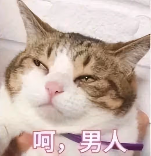 隱退之後的日本AV女優,都去幹什麼了?