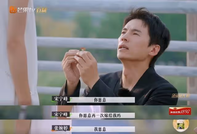 楊迪塌房到胡歌生子,我們的男女關係生病了?