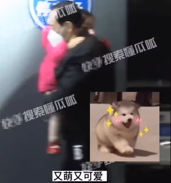 唐嫣父親抱孫女探望舅媽黃曦寧,3歲小小糖呆萌可愛,著急見妹妹