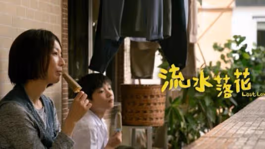 第41屆金像獎提名名單公布，鄭秀文7提影后，梁朝偉郭富城無緣影帝