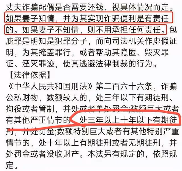 律師解讀王麗坤事件:王麗坤若用了贓款,或將面臨賠3年以下牢獄