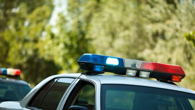 看綜藝識專業:東國大學警察行政專業