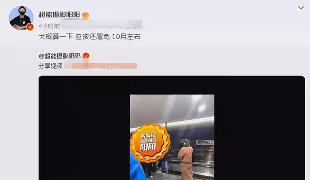 娛記爆瓜:迪麗熱巴懷孕,準確到生子時間,黃景瑜將要升級?