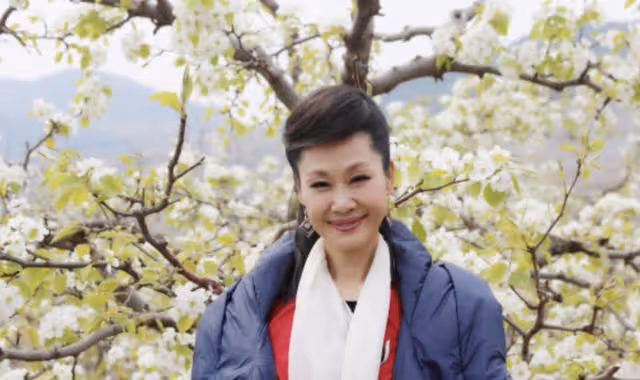 離婚24年後,回頭再看於文華和李凡二人境遇,夫妻差距太明顯