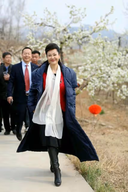 離婚24年後,回頭再看於文華和李凡二人境遇,夫妻差距太明顯