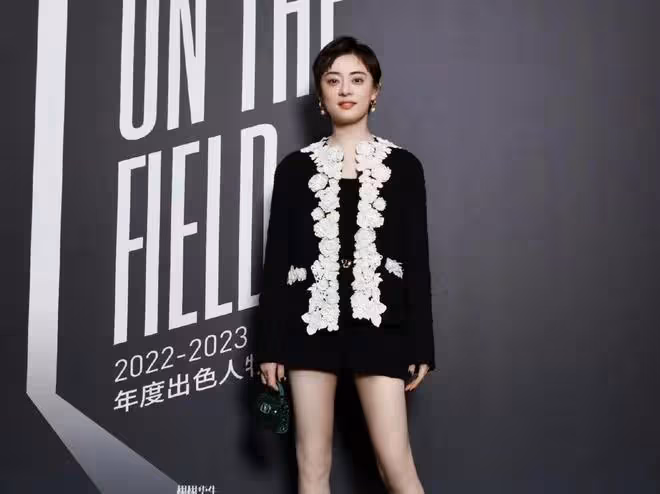 開年第一場紅毯:孫儷像微商老闆娘,張靚穎讓人看不懂,謝娜整容