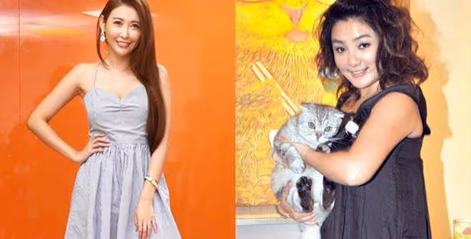 盤點2015年38名女明星性交易被曝光,一線明星200萬,有你的女神嗎?