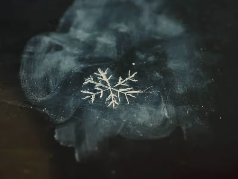 我們的日子:王雪花的結局,從遇見楊思宇的那一刻,就已經註定了