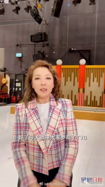 選港姐入行30年上月低調離巢!TVB女星轉戰內地做富婆