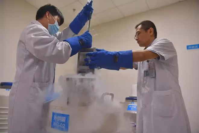 多地「捐精」倡議背後:通過率是多少?是後代近親結婚隱優?