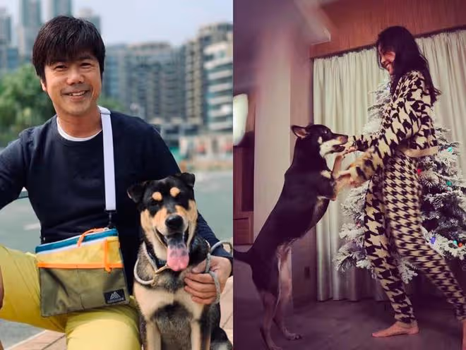 港媒曝小三黃心穎復出,於情人節發新歌,4年前曾插足鄭秀文婚姻