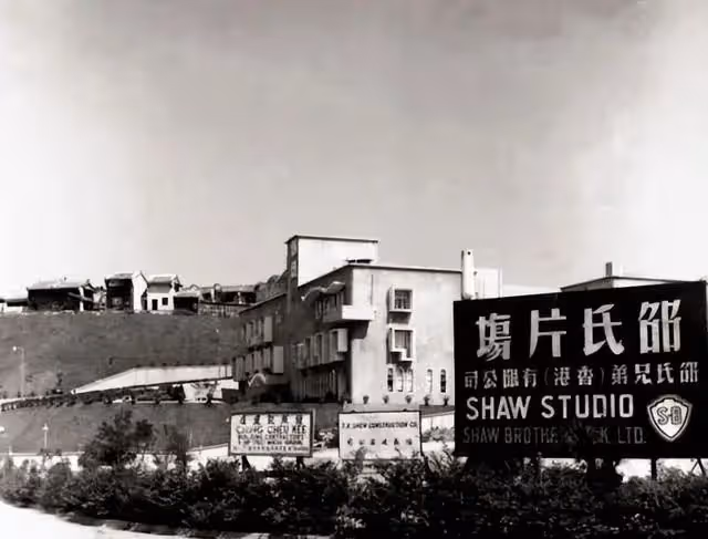 「豪哥」狄龍:張徹第二代弟子,與姜大衛決裂,一生只愛一個人