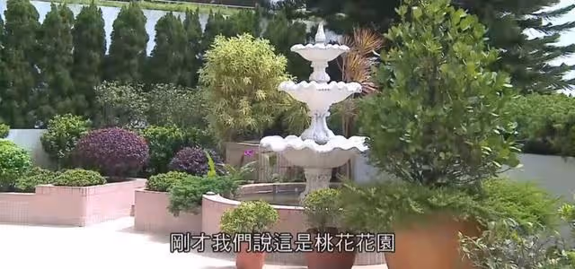 富貴！55歲前港姐曬千尺豪宅超氣派，退圈經商多年至今仍未婚未育