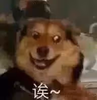 查出來了!靠《狂飆》大火的張頌文,最愛用這個APP