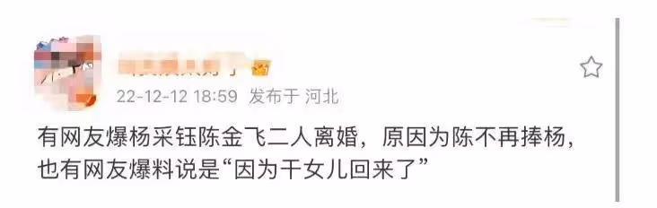 楊采鈺:粉絲鏡頭下落寞憔悴身材發福成大姐,找大30歲男友後悔了