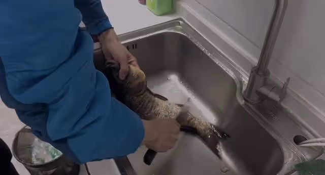 《狂飆》老默用農村土灶做魚!熟練燒柴刮魚鱗,家徒四壁環境破舊