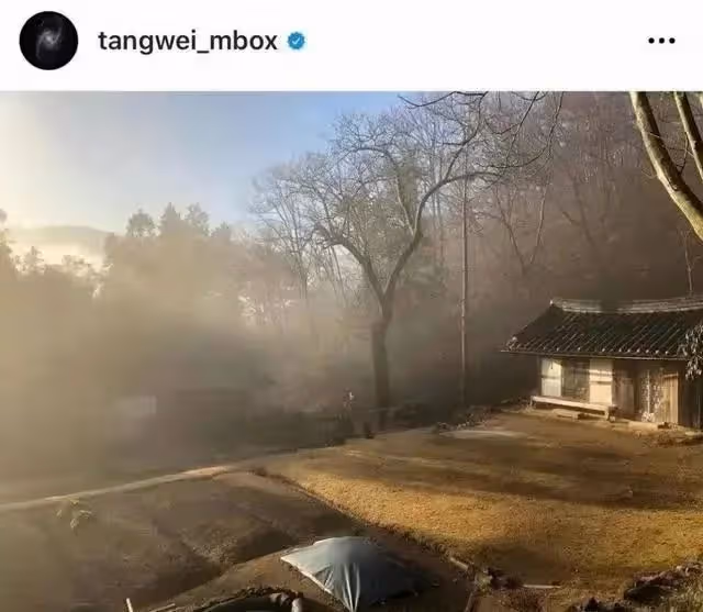 44歲湯唯現狀曝光!放著豪宅不住,去到下鄉種地,卻羨慕哭千萬人